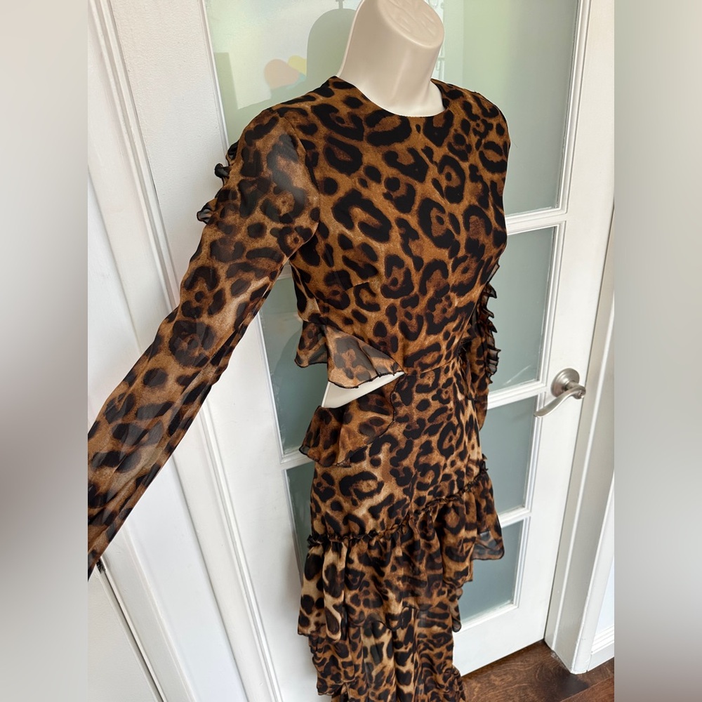 Leopard maxi dress - Picture 4 of 6